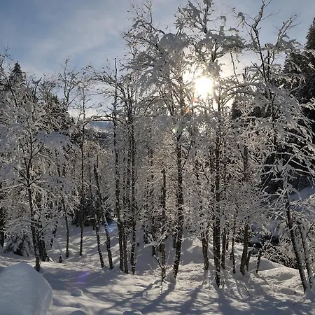 Haus Manuela Sonnige Aussicht Mit Bergpanorama Inkl Nationalpark Card * Rauris